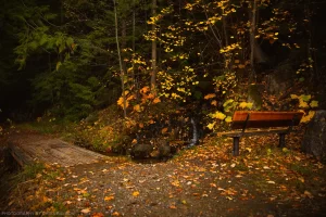 Old Highway 2 Trail, Kootenai National Forest, Montana.