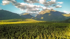 The Cabinet Mountain Range during a summer sunset. Kootenai National Forest, Montana.