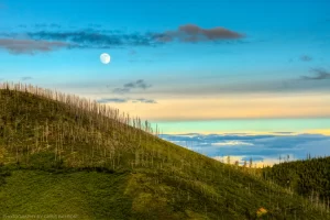The moon rising over Flagstaff Mountain on the summer solstice. Kootenai National Forest.