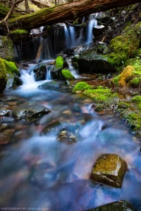Iron Creek headwaters in the Kootenai National Forest, Montana.