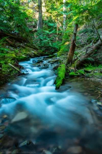 A creek running down Newton Mountain near the Yaak Valley, Kootenai National Forest