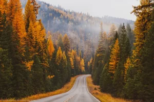 The Yaak highway along Pipe Creek. Kootenai National Forest.