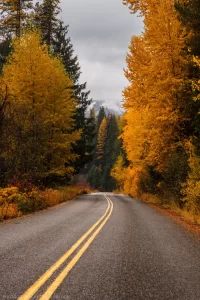 Pipe Creek Road in autumn near the Yaak Valley. Kootenai National Forest.