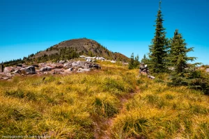The trail leading up to Rock Candy Mountain in the Kootenai National Forest, Montana.
