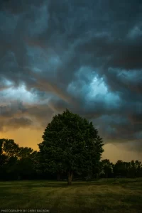 An intense thunderstorm moves over a tree and well manicured lawn in central North Dakota.