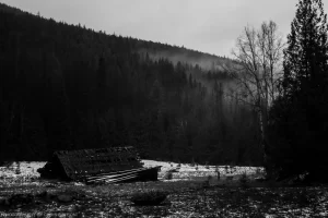 A broken down post-office in the Yaak Valley.